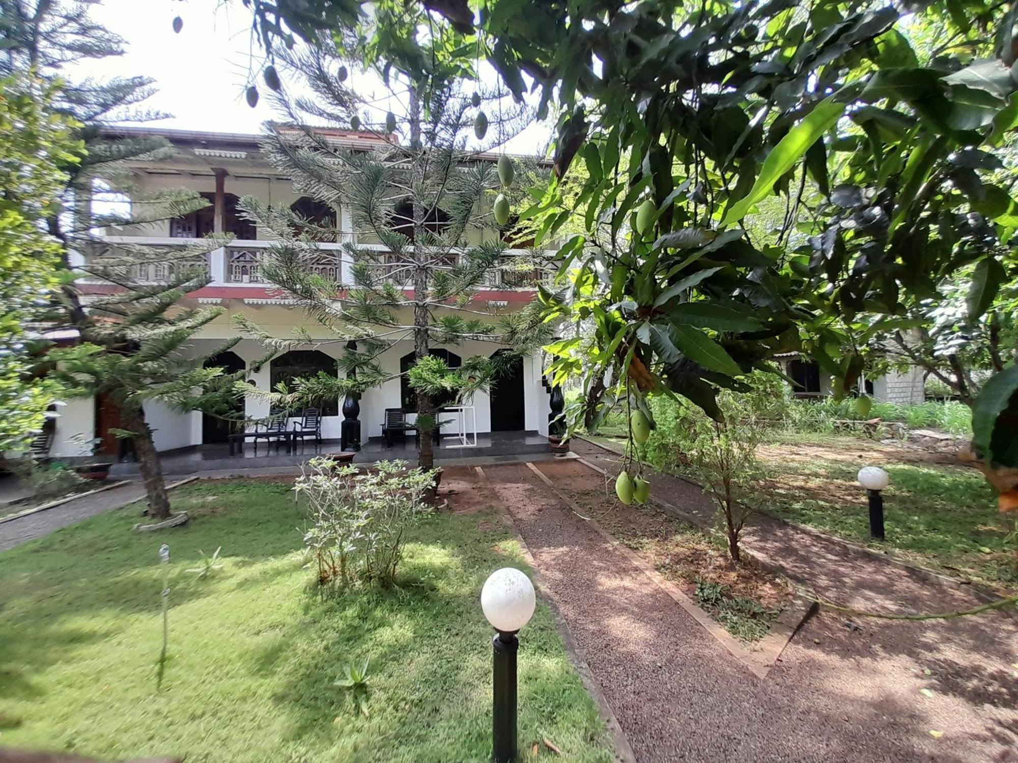 The Monkey Garden Albergue Sigiriya Exterior foto